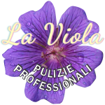 Impresa di Pulizie La Viola 3